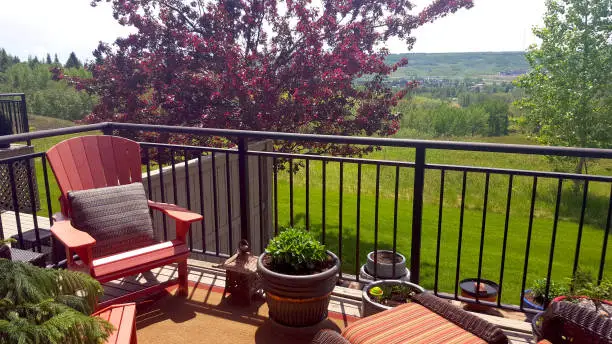 Balcony Garden Makeover